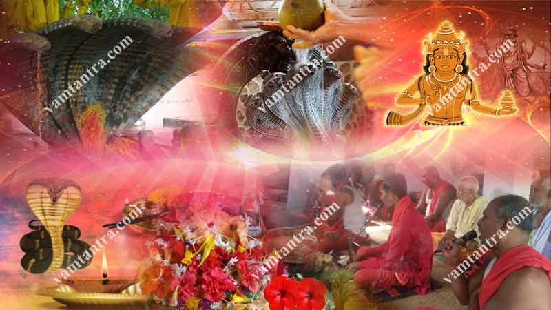 naag puja to remove rahu effects