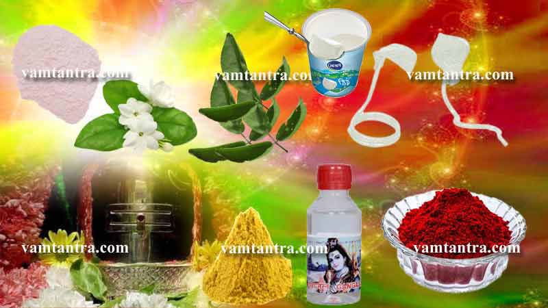 vasuki kaal sarp dosh remedies by vamtantra