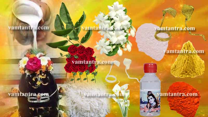 vasuki kaalsarp remedies by vamtantra